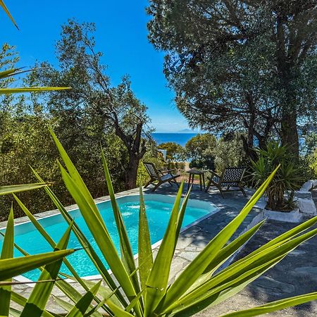 Tresor Boutique Home Kolios Bagian luar foto